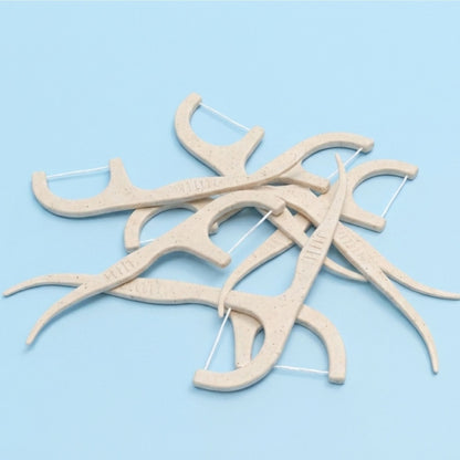 Biodegradable Floss Picks