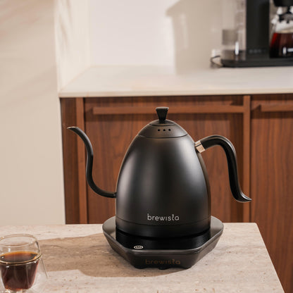 Artisan Gooseneck 1 L Kettle w/ Variable Temperature