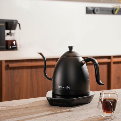 Artisan Gooseneck 1 L Kettle w/ Variable Temperature
