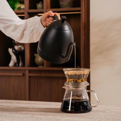 Artisan Gooseneck 1 L Kettle w/ Variable Temperature