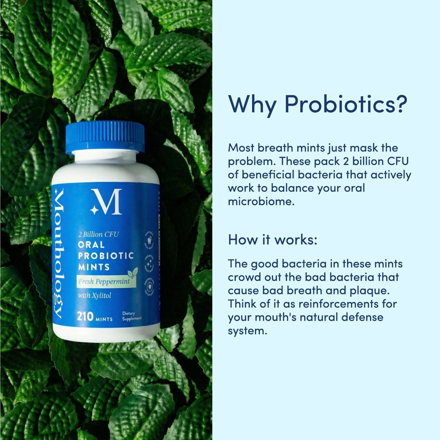Oral Probiotic Mints