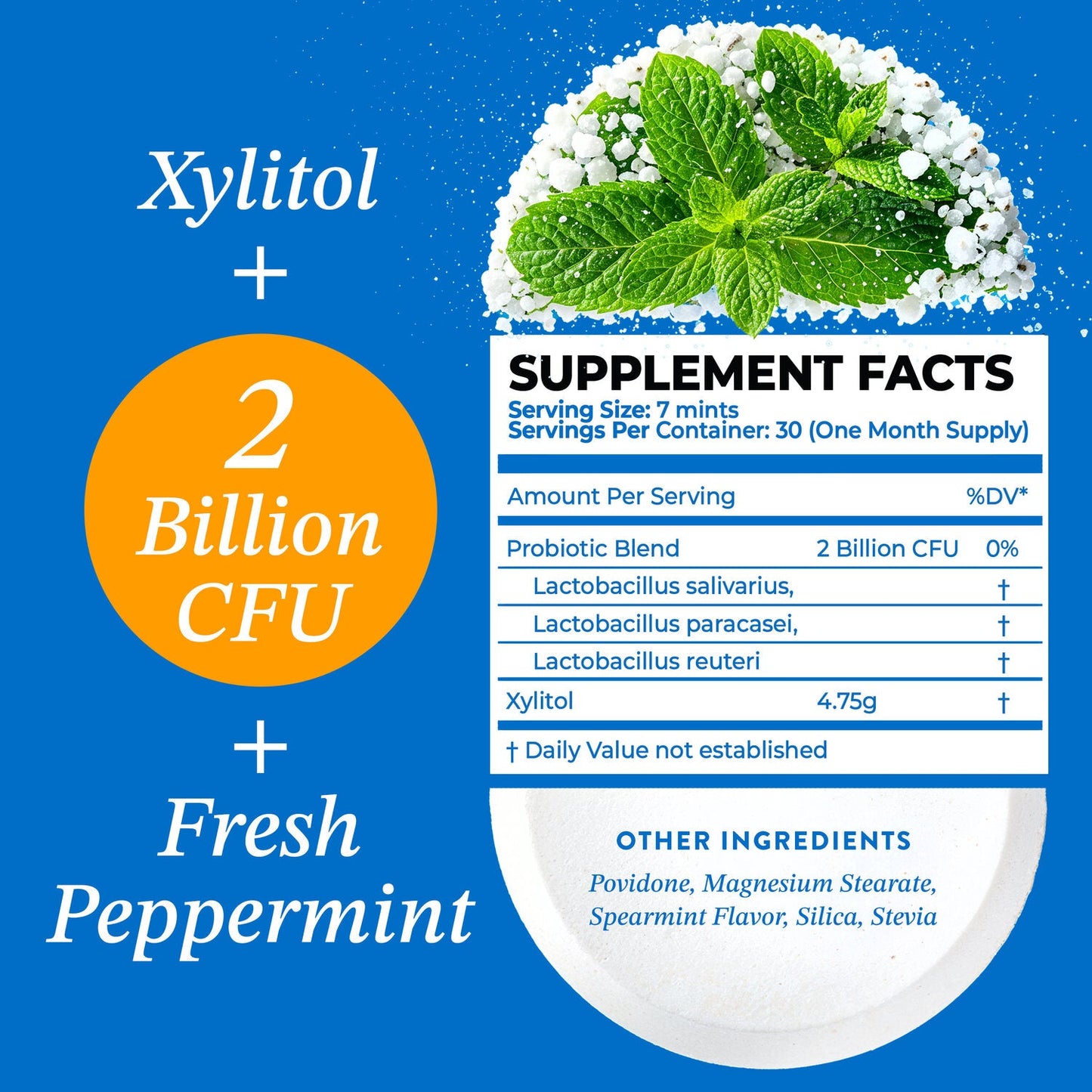 Oral Probiotic Mints