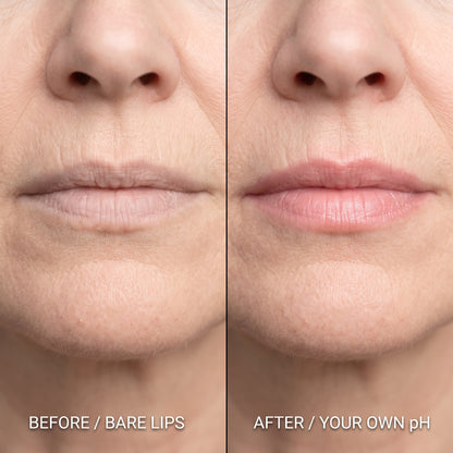 Ph Signature Lipstick